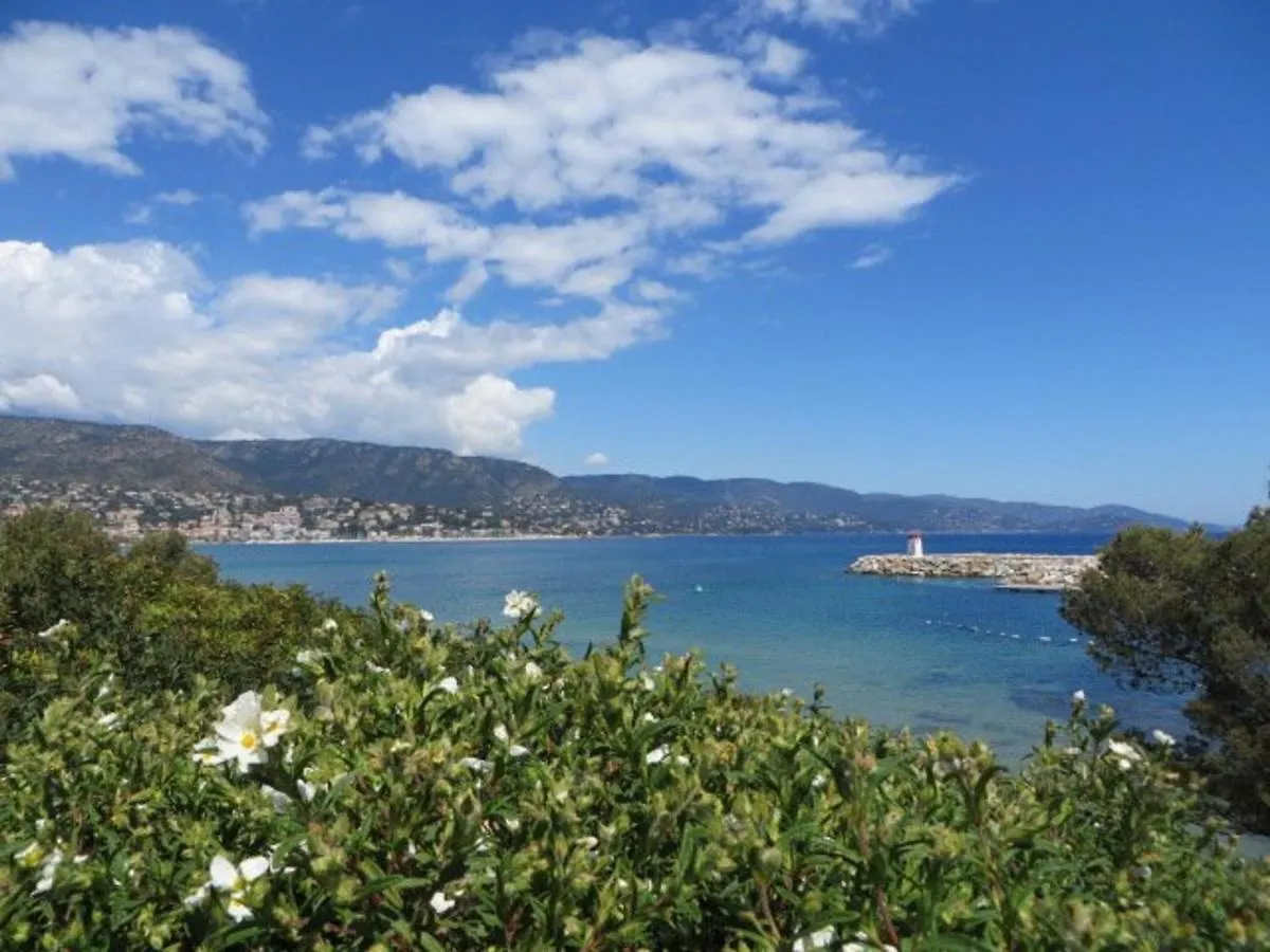 T2 5 Pers Avec Parking A La Faviere, Bormes-Les-Mimosas - Fr-1-610-54 Apartment